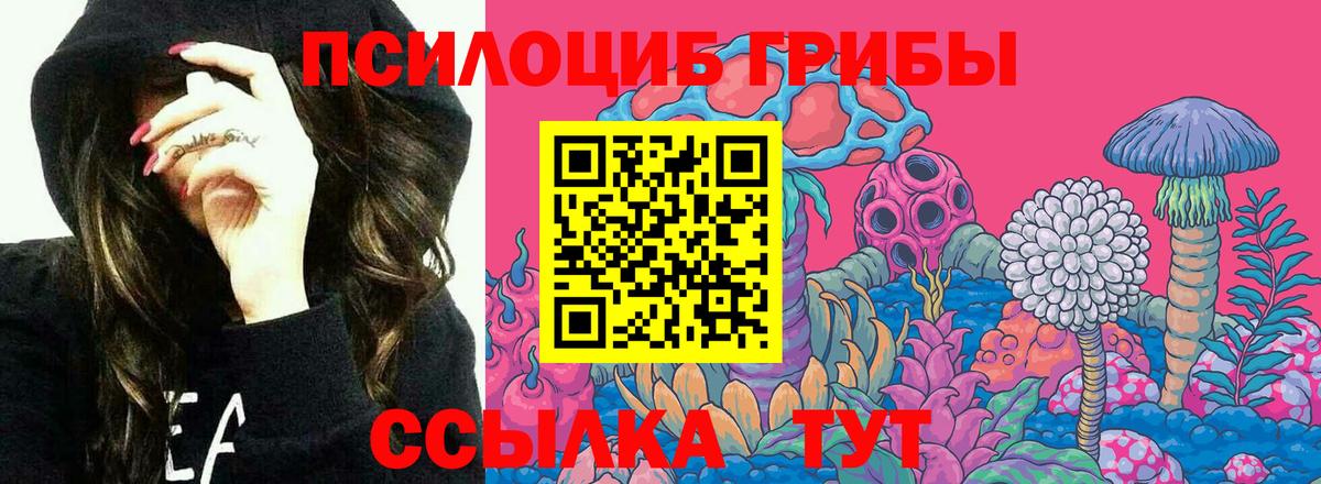 Галлюциногенные грибы GOLDEN TEACHER Южно-Сахалинск